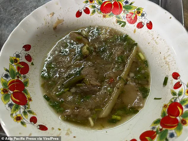 Tragedy in Chiang Rai: Father and Daughter Die After Consuming Thai Curry Laced with Deadly Mushrooms