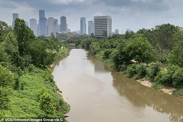 Houston Murders: 23 Bodies Found in Bayous, Police Report 14 Deaths for 2025