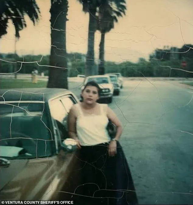 BREAKING: 40-Year Mystery of Missing Woman Solved as Body Uncovered in California Orchard