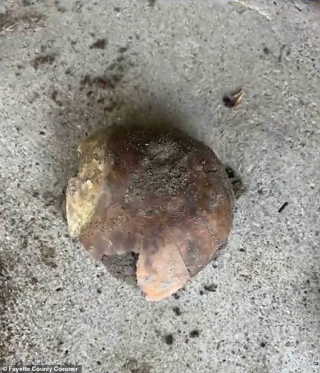 Ancient Human Skull Discovery in Indiana's Whitewater River Sparks Collaboration Between Authorities, Academia, and Indigenous Heritage Groups