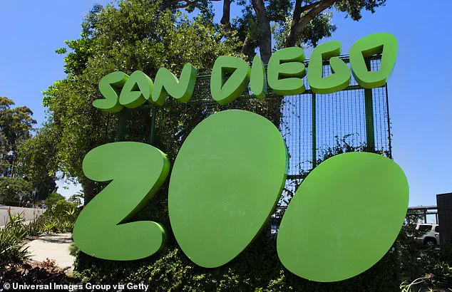Gramma the Galapagos Tortoise, San Diego Zoo Icon, Euthanized at 140 Due to Age-Related Condition, Per Zoo Officials and CBS News Reports