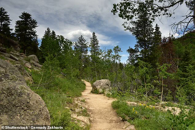 Suspected Mountain Lion Attack Claims Woman's Life in Colorado, Sending Ripples Through Communities