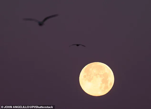 San Francisco Floods as Super Moon Trifecta Overwhelms Infrastructure