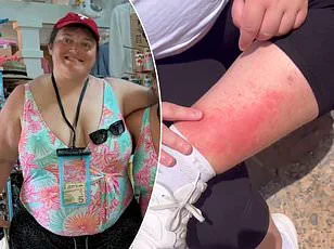 Father Injured in Disneyland Altercation After Line-Cutting Incident, Daughter Calls It 'Horrific'