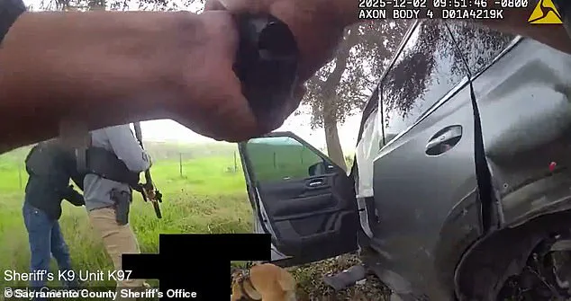 Tragedy in Elk Grove Sparks Debate on Law Enforcement Protocols and Public Safety