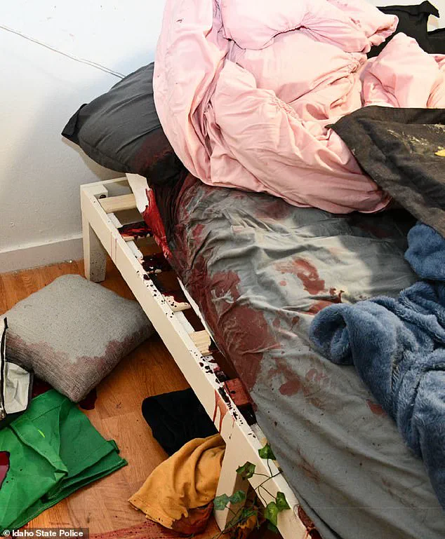 Government Regulations and Public Access to Crime Scene Evidence: The Idaho Murders Case