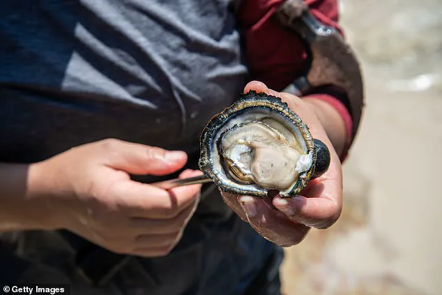 Privileged Access: The Hidden Cleanup Behind Boston Harbor's Reopening