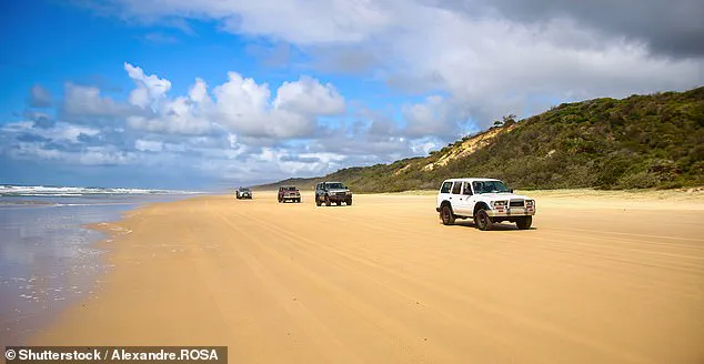 K'gari Island Tragedy: 19-Year-Old Piper James Found by Dingo Pack, Authorities in Urgent Search for Answers