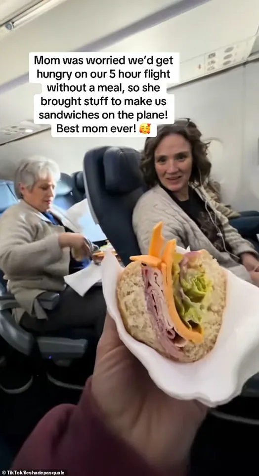 Mother Turns Airplane Cabin into Make-Shift Deli During Flight to Feed Children