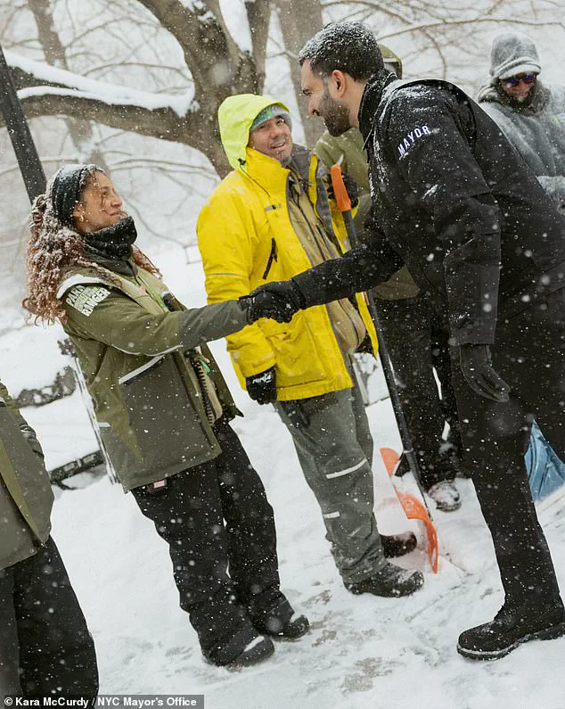 Winter Storm Fern Tests New York's Resilience as Brooklyn Battles Historic Blizzards