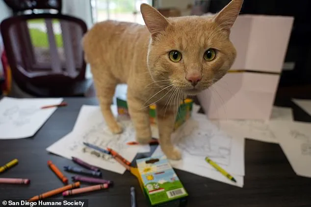 California's Quarantine Regulations: A Public Health Measure with a Feline Graduation
