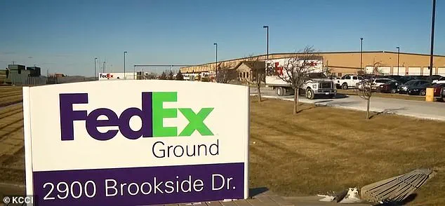 Amethyst Blumberg's Unplanned Birth at FedEx Facility: A Story of Calm in Chaos