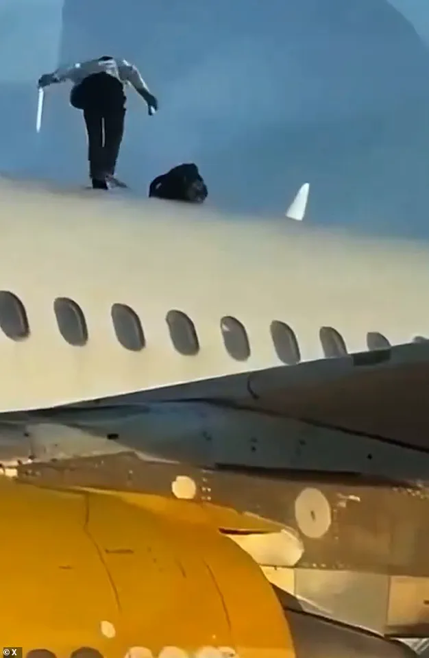 Defiant Moroccan Man Scaling Airbus Roof at Valencia Airport Causes Two-Hour Flight Delay, No Damage Found