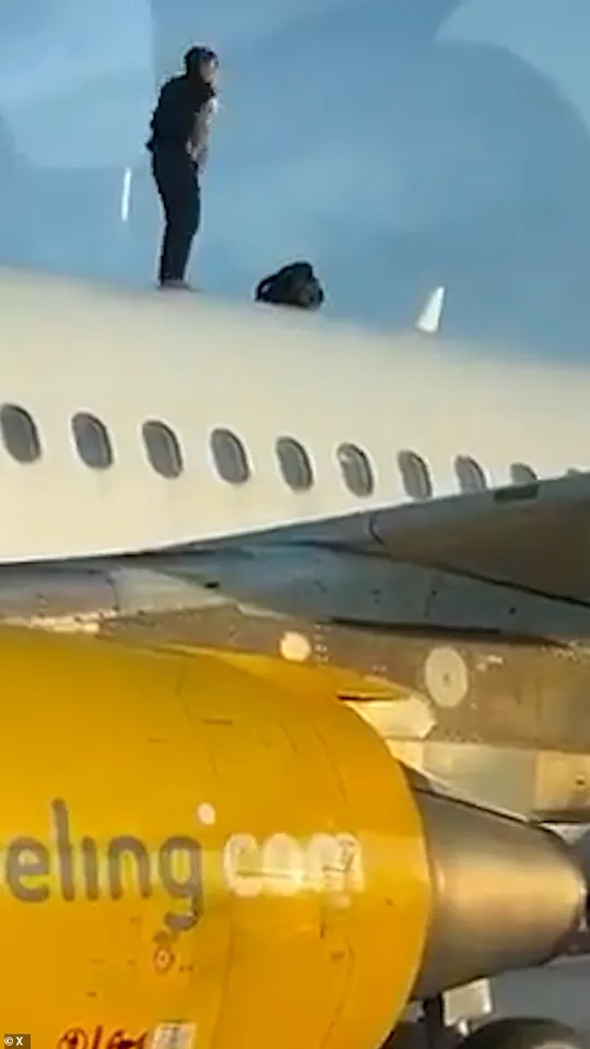 Defiant Moroccan Man Scaling Airbus Roof at Valencia Airport Causes Two-Hour Flight Delay, No Damage Found