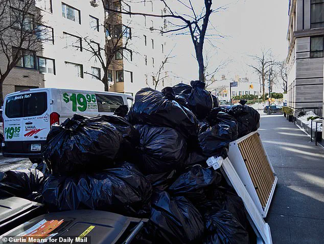 New York's Post-Storm Chaos: Mayor's Mansion Remains Unscathed Amid Citywide Struggles