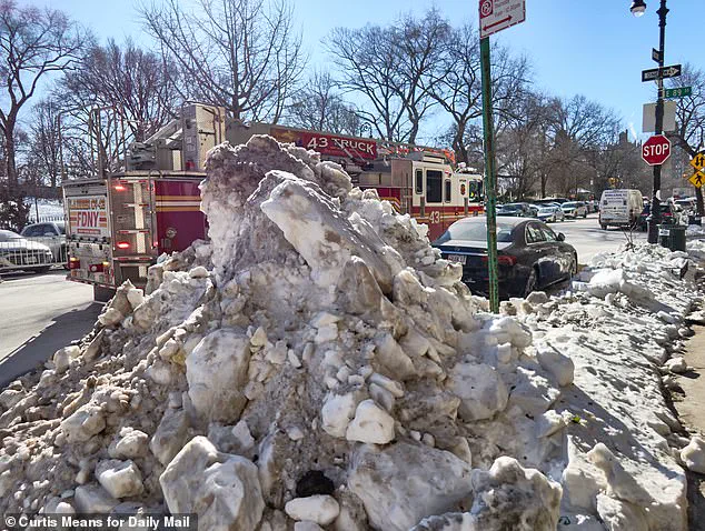 New York's Post-Storm Chaos: Mayor's Mansion Remains Unscathed Amid Citywide Struggles