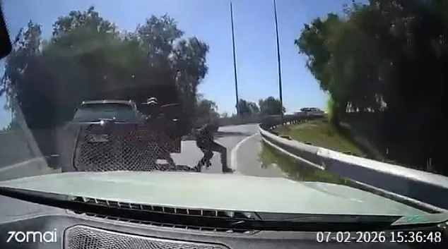 Dramatic Collision Thwarts Armed Robbery in Chile