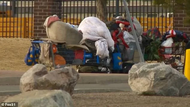 Lakewood's Aviation Park: From Suburban Haven to Homelessness Crisis as Residents Decry Deteriorating Quality of Life