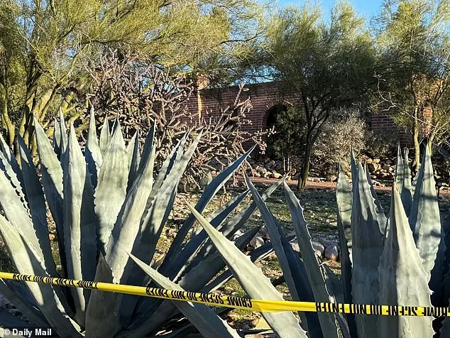 Nancy Guthrie's Disappearance: New Footage Reveals Masked Figure, Intensifying Search