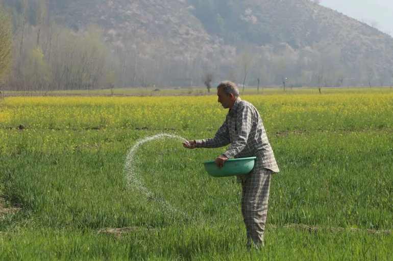 Global Crisis Casts Shadow Over Punjab Farmers as Crop Prices Plunge and Family Dreams Hang in Balance