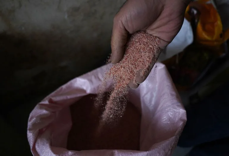 Global Crisis Casts Shadow Over Punjab Farmers as Crop Prices Plunge and Family Dreams Hang in Balance
