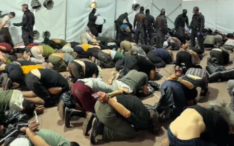 Hundreds of detained pro-Palestinian activists officially deported after viral taunting video.