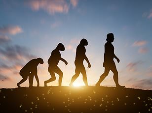 Ancient human "third eye" regulates sleep patterns despite losing vision.