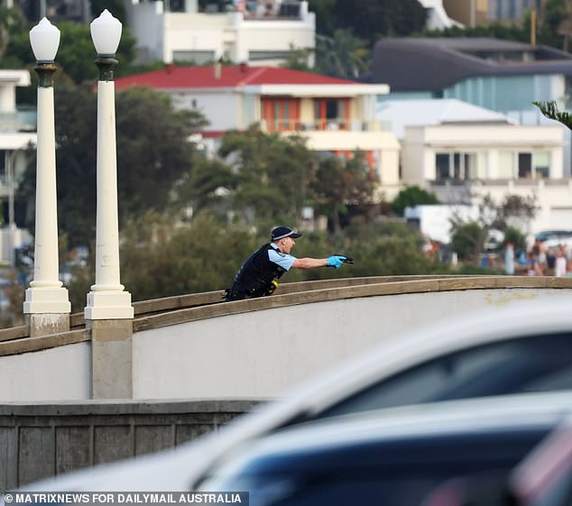 Bondi Massacre Inquest Reveals 11 Struck in 29 Seconds