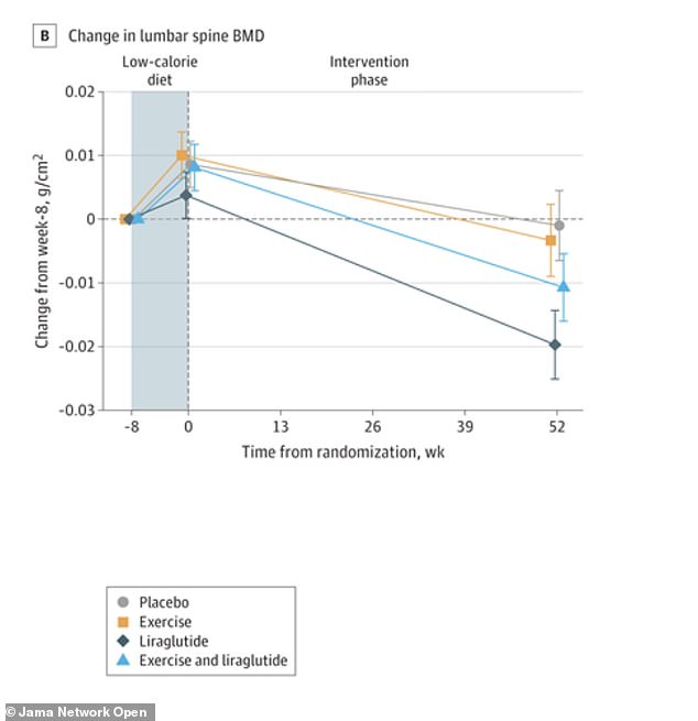 Weight-loss drugs may accelerate bone loss by depleting estrogen and muscle.