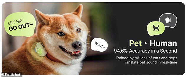 Chinese AI Collar Claims 95% Accuracy in Translating Pet Sounds.