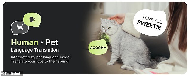 Chinese AI Collar Claims 95% Accuracy in Translating Pet Sounds.