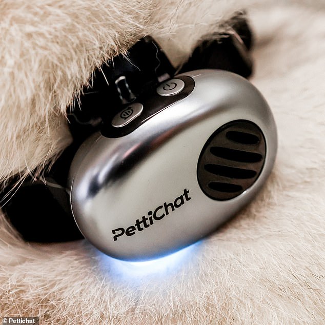 Chinese AI Collar Claims 95% Accuracy in Translating Pet Sounds.