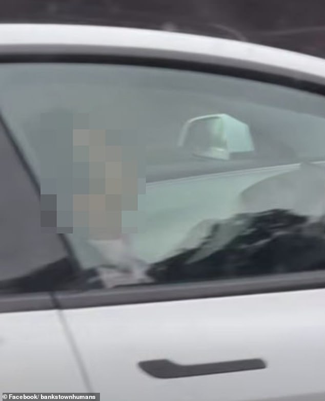 Tesla driver dozes off on Sydney highway while using FSD system.