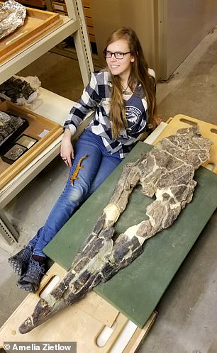 New 43-foot marine reptile Tylosaurus rex rivals T. rex in size.